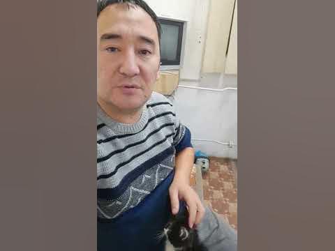 мур мияу - YouTube