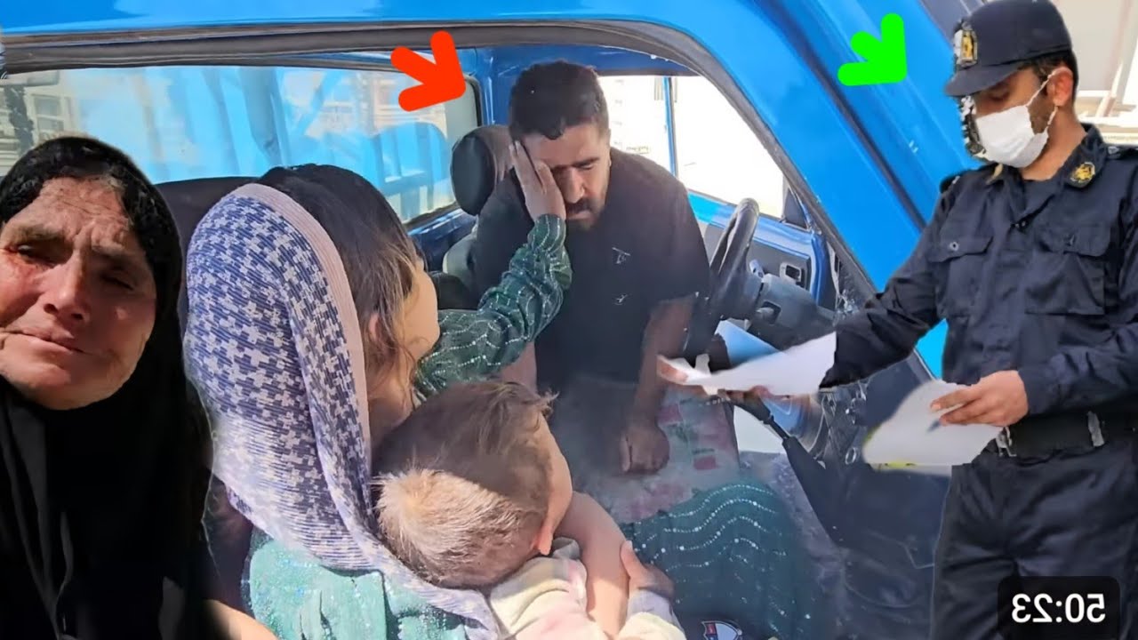 Documentary on nomadic life: "Saif Ella's efforts to return Maryam to the mountains"