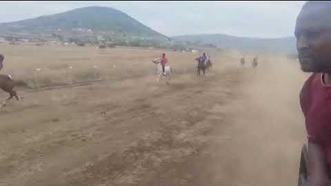 Traditional horse racing_oLundi 12/10/2025 