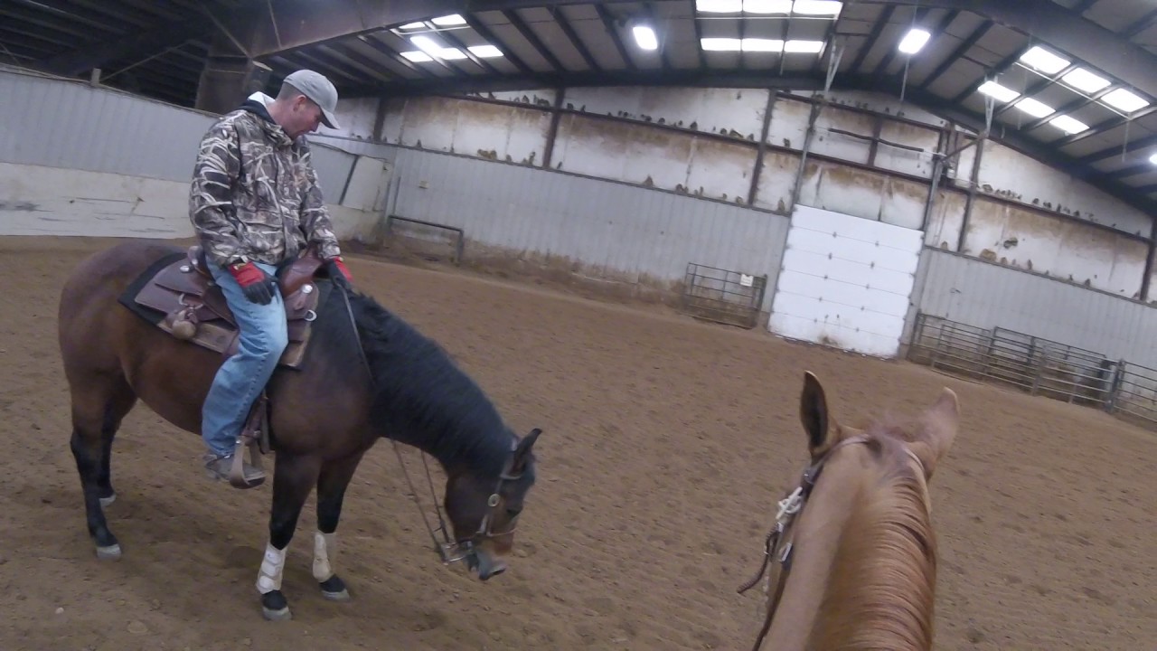Mack Weaver Professional Reining Horse Trainer Explaing the Circle