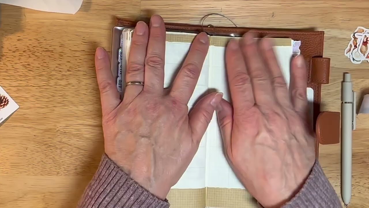 Black Friday Sale Info and Plan With Me