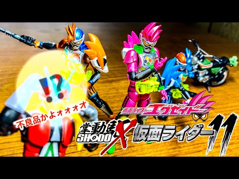 SHODO-X 仮面ライダー11 全種類コンプリートセット レビュー