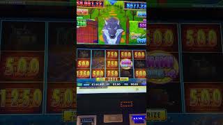 NZ Skycity Casino first pull #2.50bets NZ Skycity Casino first pull #2.50bets