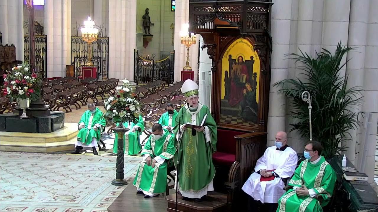 Homilía del card. Osoro en la Misa acción de gracias bodas de oro y