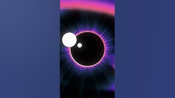 AUSTIN BAUWENS (x RAVIE.CO) - SHOWREEL 2024 #motiongraphics #motiondesign