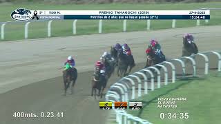 Vidéo de la course PMU PREMIO TAMAGOCHI 2019 (2 TURNO)