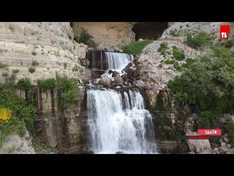 مشوار بلبنان أفقا
