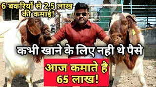 बकरी पालन से 65 लाख की कमाई!How to start a goat farming in india।goat farming Success story
