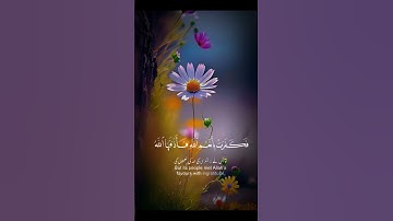 قرآن سورة النحل #قرآن #اكسبلور