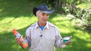 Ant Contact Killers vs. Ant Bait Products