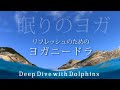 リフレッシュのためのヨガニードラ✨Deep Dive with Dolphins✨YogaNidra 10min