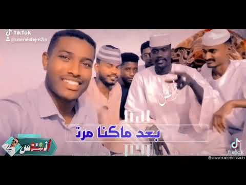 جديد ودالبرير والمنسي عن الدهب