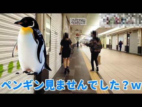 【ナンパ実演】ペンギンナンパやってみた【ネタ系】【LINE交換】