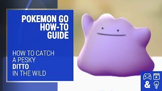 How to Catch a Ditto in 'Pokémon GO' — Where to Find It