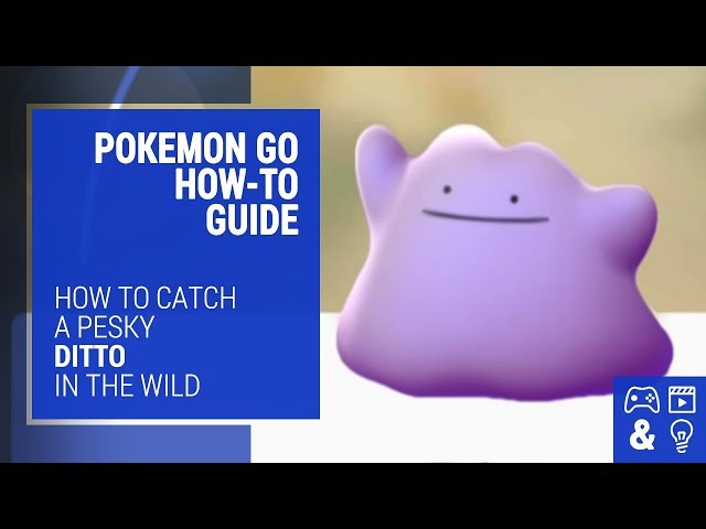 NEW TRICK ☆ HOW TO CATCH DITTO IN POKÉMON GO! ☆ HOW TO FIND