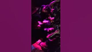 #gawaydayak #fungkotpontianak #fypyoutube #djremix