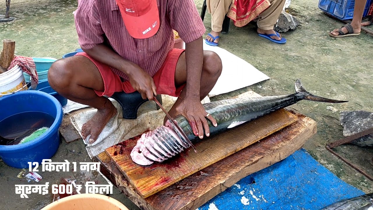 Viral Surmai Fish Cutting  सुरमई मासा 