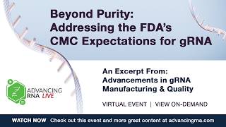 Beyond Purity: Addressing the FDA’s CMC Expectations for gRNA