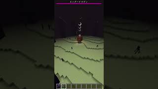 巨大隕石vsエンド【マイクラMOD】 #マイクラ #マインクラフト #minecraft screenshot 5