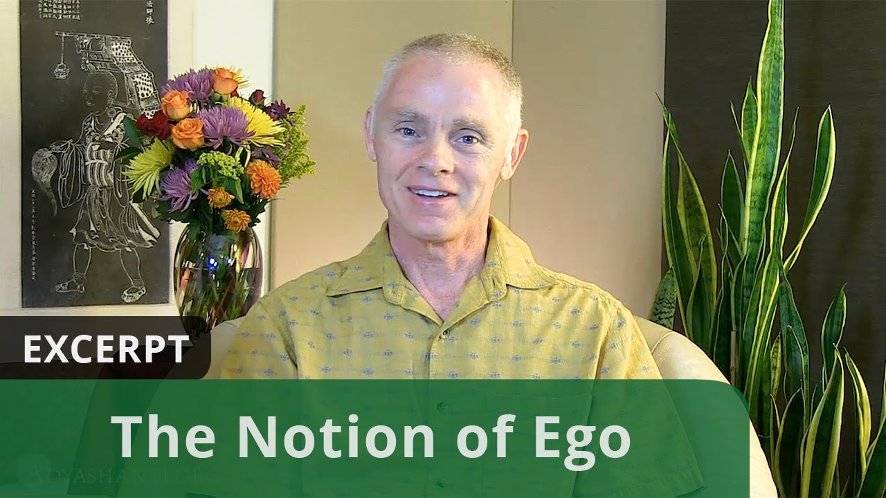 The Notion of Ego