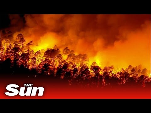 Aerial video shows massive forest fire burning at night in New Jersey