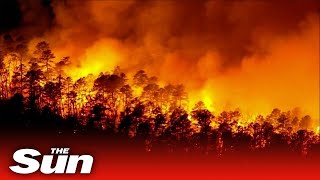 Aerial video shows massive forest fire burning at night in New Jersey