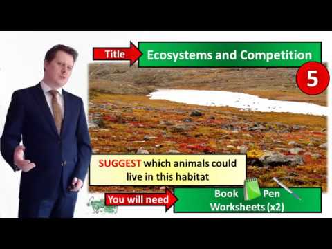 Ecosystems and Competition - Biology - Key Stage 3 - Mr Deeping