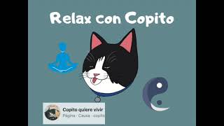 Música para relajar a tu Michi y a Karens y karens machos.. música para gatos by Copito Quiere Vivir 4,453 views 4 years ago 2 hours, 5 minutes