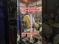 GRAPHIC. The skinning machine works really good. #skinningmachine #wolfskinner #skinningwolves #fur