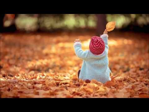 კომპოზიტორი სოფო თევზაძე kompozitori sofo tevzadze