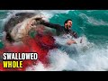 Swallowed Whole By A Shark &amp; Other Terrifying Stories