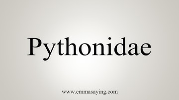 How To Say Pythonidae