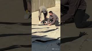 Невероятные кадры с помощью #djifpv #дроныdji #видеостудия #видеосъемка #drone #dji