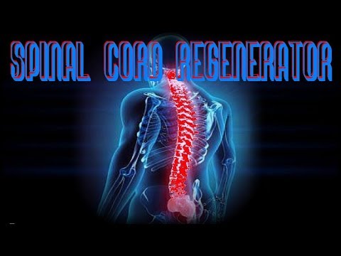 Spinal Cord Regenerator Frequency - Future-Channelled Healing Binaural Plus Isochronics