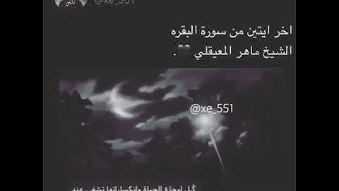 حالات واتس اب اخر ايتين من سورة البقرة فضيلة الشيخ ماهر المعيقلي.