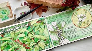 10 Layout Tips for your Nature Journal