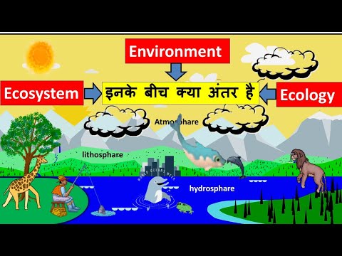 difference-between-environment-and-ecology