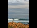 Buenas olas en Hanga-Roa, El Quisco - Lineup Cam Rewind