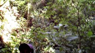 MPEG0019.AVI