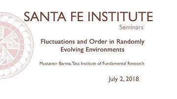 Fluctuations and Order in Randomly Evolving Environments