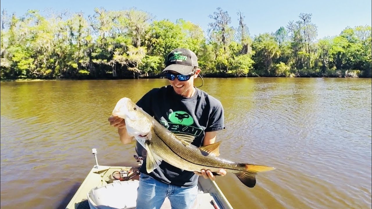 Finally landed a big FRESHWATER SNOOK!!!!! YouTube