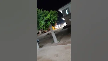 ٢٩ يوليو ٢٠٢١ 
