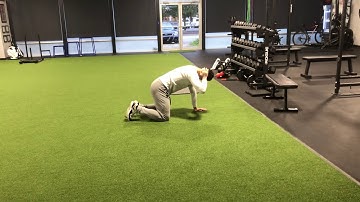 Quadruped T-Spine Rotations
