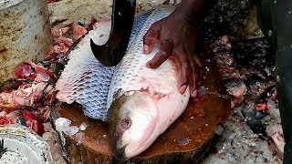 Amazing Fish Cutting | Fastest Fish Cutting | Big Katla Fish Clean And Cutting Videos