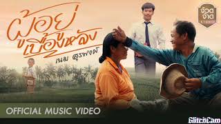 ผู้อยู่เบื้องหลัง - เนม สุรพงศ์ [ official Audio ]