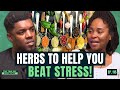 Herbal doctor reveals 6 powerful herbs that help heal your body  beat stress  sophia  ep 115