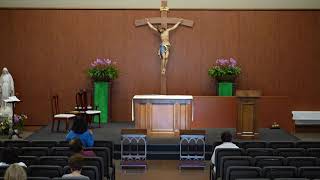 STM Livestream: 8AM Wednesday Mass