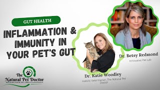 Inflammation & Immunity In Your Pet's Gut