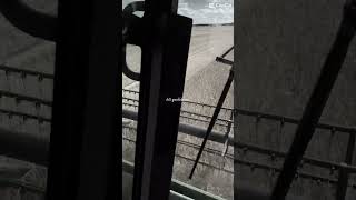 Beim dreschen einfach 0 Probleme #johndeere #landwirtschaft #farming