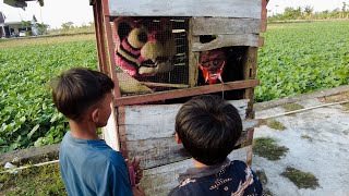 Ganggu genderuwo dan barongan  pink